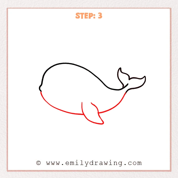 how to draw a humpback whale - Step 3